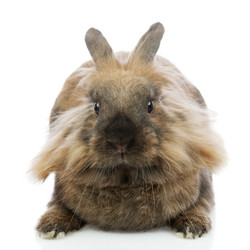 Similar image 5860840