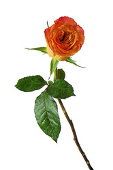 Similar image 5860850