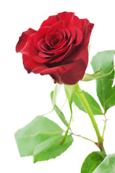 Similar image 5860852