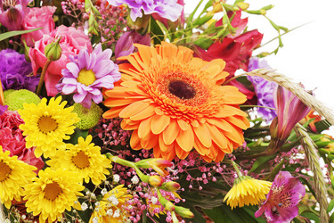 Similar image 5860853