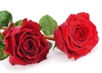 Similar image 5860859