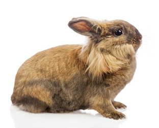 Similar image 5860866