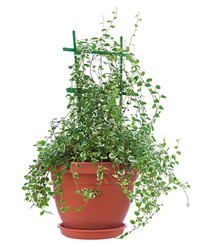 Similar image 5860933