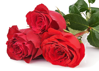 Similar image 5860936