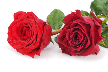 Similar image 5860963