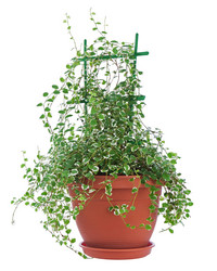 Similar image 5860986