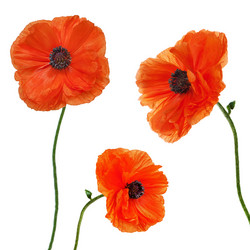 Similar image 5860992