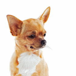 Similar image 5860993