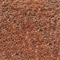 Similar image 5861011