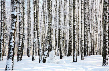 Similar image 5861036