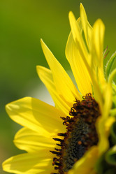 Similar image 5861052