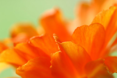 Similar image 5861053