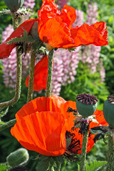 Similar image 5861056