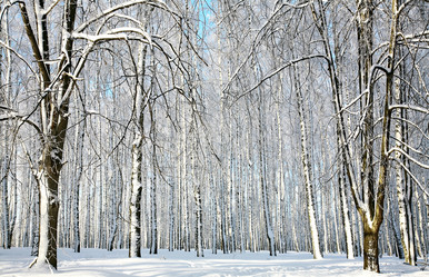 Similar image 5861058