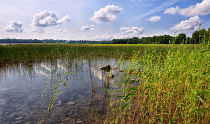 Similar image 5861062