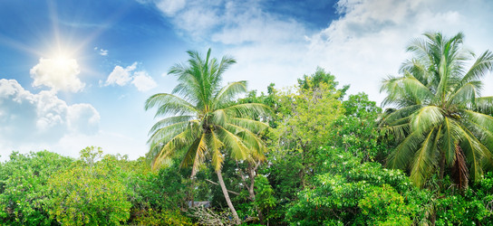 Similar image 5861071