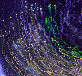 Similar image 5861159