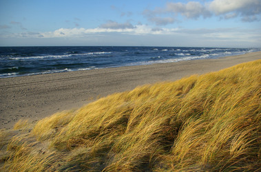 Similar image 5861166