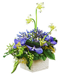 Similar image 5861179