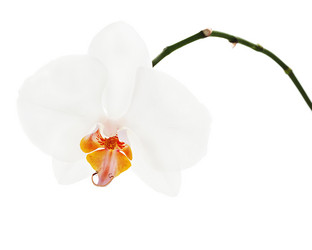 Similar image 5861198