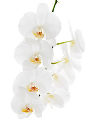 Similar image 5861201