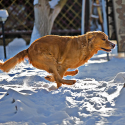 Similar image 5861247