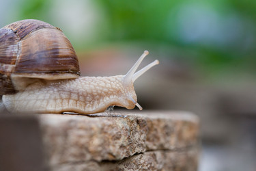 Similar image 5861251