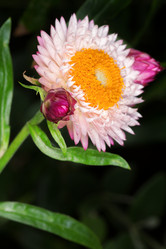 Similar image 5861446