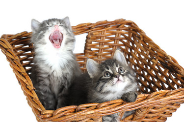 Similar image 5863999