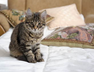 Similar image 5864001