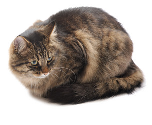 Similar image 5864002