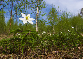 Similar image 5864164