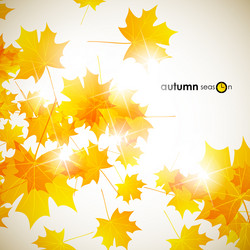 Similar image 5864269