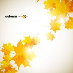 Similar image 5864286