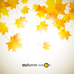 Similar image 5864287