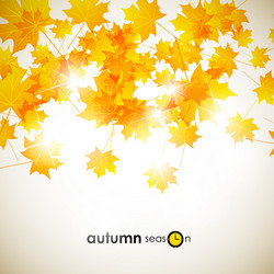 Similar image 5864288