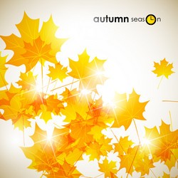 Similar image 5864290