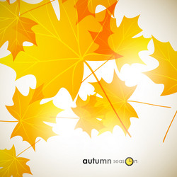 Similar image 5864294