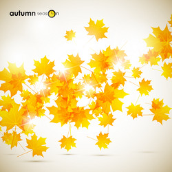 Similar image 5864295