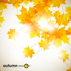 Similar image 5864302