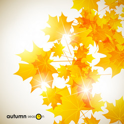 Similar image 5864303