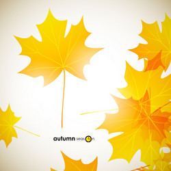 Similar image 5864317