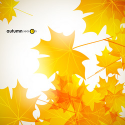 Similar image 5864318