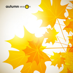 Similar image 5864348