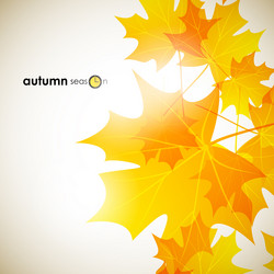 Similar image 5864350