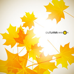 Similar image 5864351