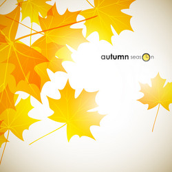 Similar image 5864352