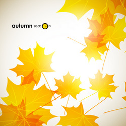 Similar image 5864353