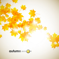 Similar image 5864365