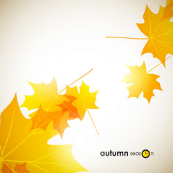 Similar image 5864377